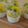 ８ママ♪'s cooksnap of when they made ５分で出来る♡パンナコッタ.
