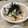 ゆけり３兄弟's cooksnap of when they made つまみにグ～(*^^)vささみの梅肉和え.
