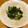 ボブナナ's cooksnap of when they made 長ねぎとワカメの酢みそ和え.
