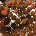 クックHWUFUY☆'s cooksnap of when they made 強力粉クッキー.