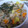 きゃんぴぃ's cooksnap of when they made まいたけとサツマイモの炊き込みご飯.
