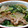 moist's cooksnap of when they made ☆大根・豚肉・豆苗マヨ炒め☆.