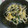 ゅぅBucchi's cooksnap of when they made モヤシとワカメの卵炒め.