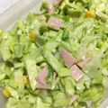わわんわん's cooksnap of when they made 我が家の常備菜 コールスロー風サラダ.
