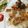 ourrecipe's cooksnap of when they made 豚の生姜焼き♪甘めで子供受け抜群〜♡.
