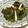 QPはにー's cooksnap of when they made 簡単ほうれん草としめじのおひたし.