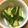 楽しく料理♪'s cooksnap of when they made 子供も大好き☆きゅうりで簡単に☆.