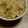 三つ子516's cooksnap of when they made 豚バラとゴボウの炊き込みご飯★.