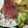 クック5S36WG☆'s cooksnap of when they made 本格ジューシー★自家製ローストビーフ.