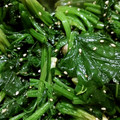 NICO28S's cooksnap of when they made ほうれん草のおひたし.