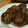 ビギナーえい's cooksnap of when they made 我が家の基本のハンバーグ♪.