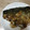 ☆tomo_☆'s cooksnap of when they made ご飯がすすむ!!サバのにんにく中華風煮.