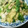 kdama's cooksnap of when they made 大人味♪菜の花と豚肉のふわふわ卵炒め.