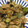 クックHUF31D☆'s cooksnap of when they made 豚肉とナスとピーマンのピリ辛味噌炒め.
