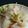 クック7WMCG5☆'s cooksnap of when they made ハムと白菜のコンソメ煮.