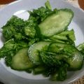 いくえちゃん！'s cooksnap of when they made 簡単☆わさび菜の浅漬け.