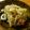 低カロ探検隊's cooksnap of when they made 切り干し大根☆懐かしくて優しい味♪.