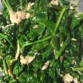 ノッケオ's cooksnap of when they made ほうれん草ツナマヨ炒め.