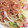 305☆'s cooksnap of when they made 簡単！めんつゆで焼きうどん.