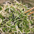 maomom0821's cooksnap of when they made レンジで簡単！豆苗ともやしと塩昆布！.
