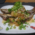 ダイナマイト漆黒's cooksnap of when they made 青葱たっぷり☆鰯のおろし和え♪.