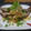 ダイナマイト漆黒's cooksnap of when they made 青葱たっぷり☆鰯のおろし和え♪.