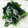はらぺこごはん's cooksnap of when they made ほうれん草のしらす炒め.