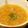 ♡ひな祭り♡'s cooksnap of when they made 飴色玉ねぎのコンソメスープ.