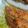 なおぴん1's cooksnap of when they made やわらかロースカツ☆ごまとんかつソース.