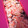 nosso's cooksnap of when they made トマトとツナの炊き込みご飯.