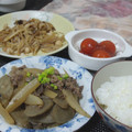 しのっこ's cooksnap of when they made 牛肉と牛蒡、大根の炒め煮.
