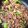 クックCDBA0S☆'s cooksnap of when they made 牛肉とアスパラのスタミナ☆オイスター炒め.