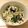 ごちそうちゃん's cooksnap of when they made イタリアン風 白和え.