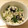 ごちそうちゃん's cooksnap of when they made イタリアン風 白和え.