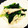 mmm39's cooksnap of when they made 鳥軟骨と青梗菜の炒め.