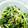 N0Nchan9's cooksnap of when they made ♪即席♪安くて簡単水菜のお浸し☆.