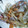 sara62's cooksnap of when they made 普通が１番っ！きんぴらごぼう.