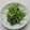 cookpig's cooksnap of when they made 簡単！水菜ときゅうりのかつお和え.