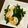hikari527's cooksnap of when they made 簡単！春菊とえびのガーリック炒め.