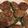 ytc0128's cooksnap of when they made ピーマンの肉詰め☆和風おろし.