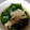 ノッチん's cooksnap of when they made ほうれん草とえのきのおひたし.