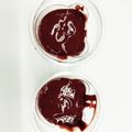 あさりbakery's cooksnap of when they made ココアプリン（玉子不使用）.