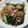 Sizuku04's cooksnap of when they made 豚バラ肉と小松菜のとろとろ甘辛炒め煮丼.