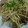 花ちゃん❣️'s cooksnap of when they made もやしと豚肉の炒めもの.