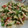 initiation's cooksnap of when they made 簡単!!エビとトマトとアボカドのサラダ.