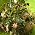 ☆海☆'s cooksnap of when they made キムチ・豆腐・水菜のもりもりサラダ！.