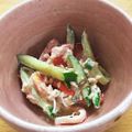 はらぺこﾏﾏ's cooksnap of when they made 超簡単！付け合わせサラダ♪.