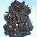 VanDyke's cooksnap of when they made ＊余った節分福豆で簡単チョコレートバー＊.