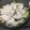 delight＊'s cooksnap of when they made とっても柔らか☆蒸し鶏の香味タレ☆.