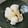 クックMS1K88☆'s cooksnap of when they made 落花生で簡単ジーマミー豆腐&卯の花♡.